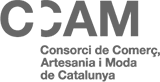 Logo CCAM